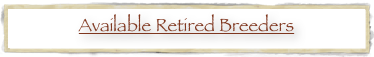 Available Retired Breeders